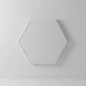 Hex Wall Plaque Blank, white 3D printed sticker-ready blank — studio render