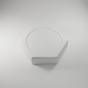 Hex Paperweight Blank, white 3D printed sticker-ready blank — studio render